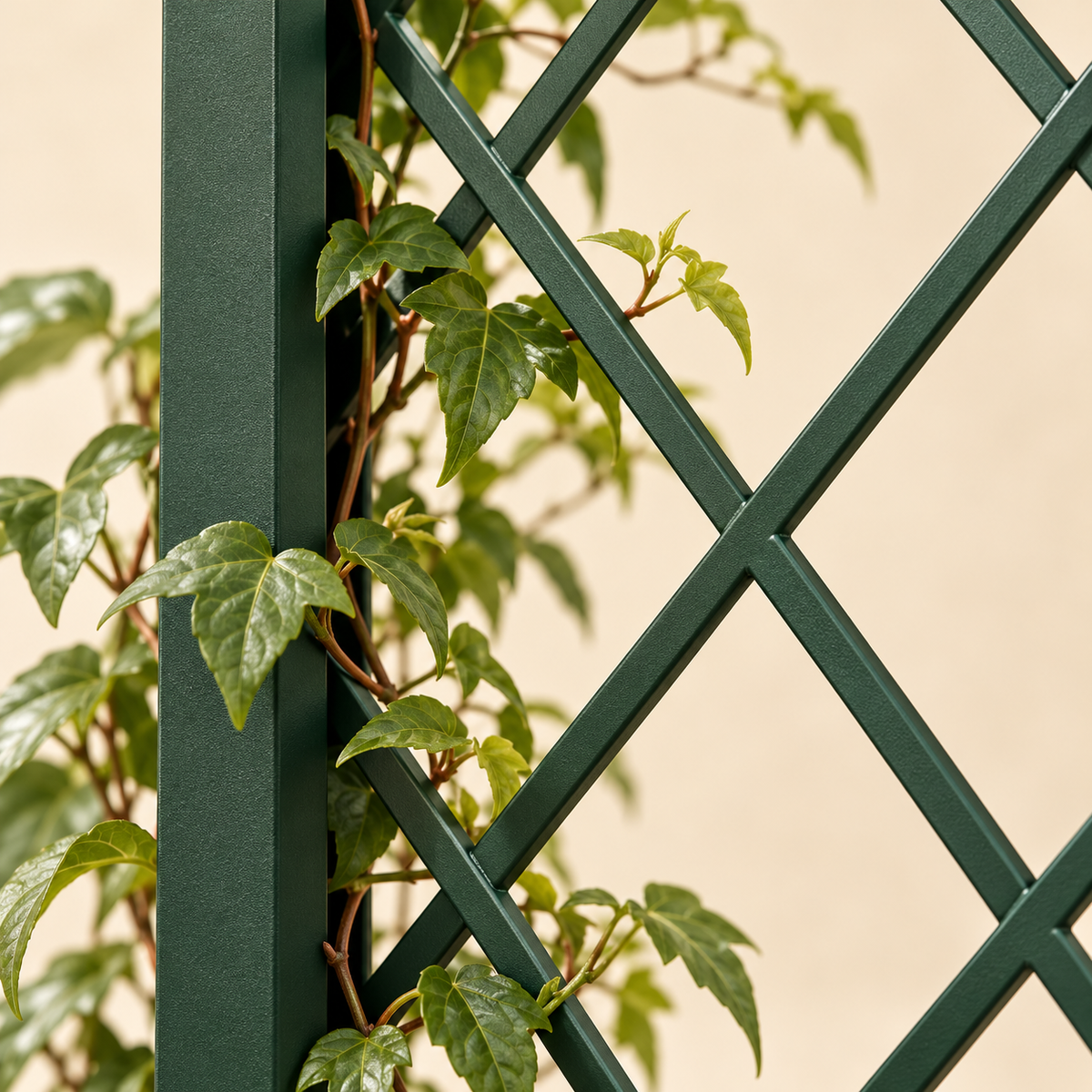 Livomni Haven Privacy Trellis concept detail view