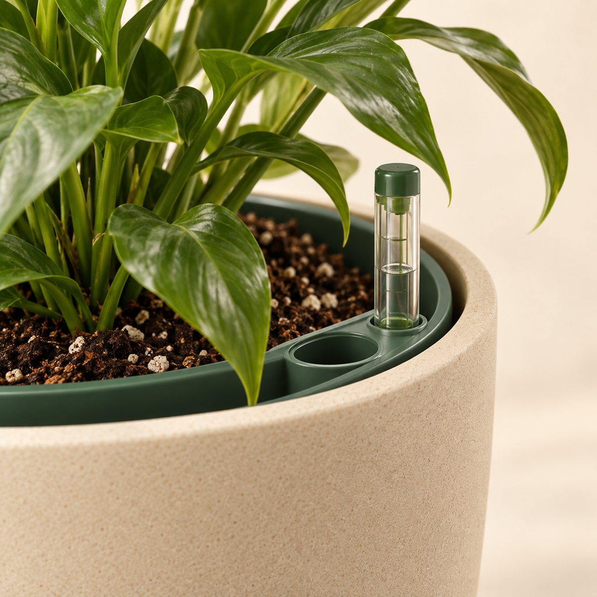 Livomni Verdant Self-Watering Planter concept detail view