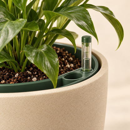 Livomni Verdant Self-Watering Planter concept detail view