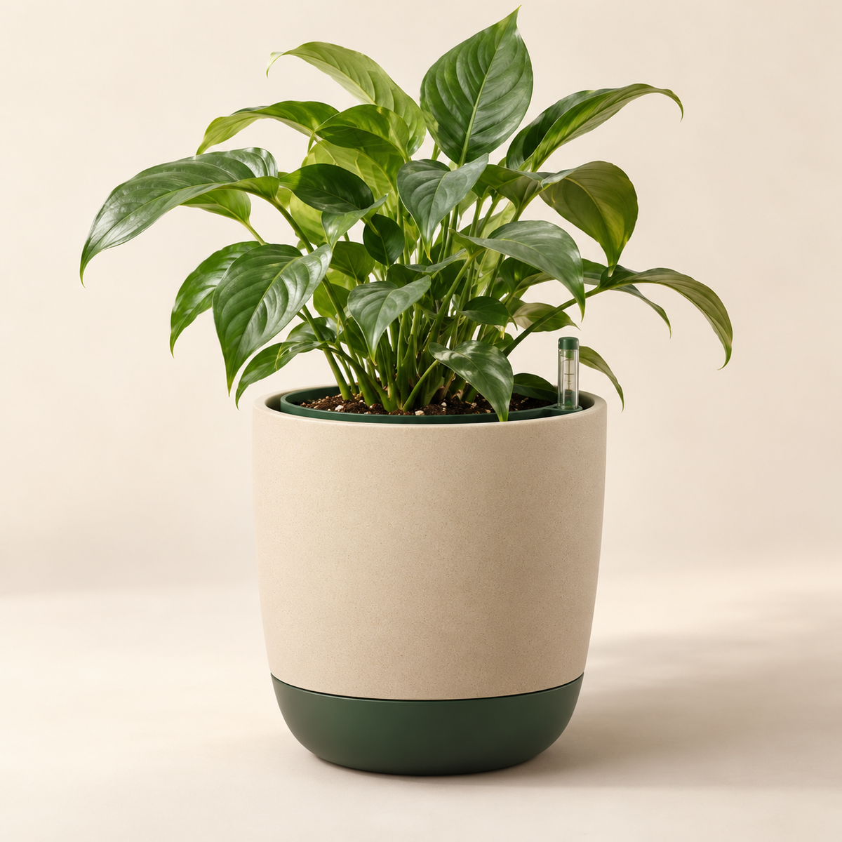 Livomni Verdant Self-Watering Planter concept main view